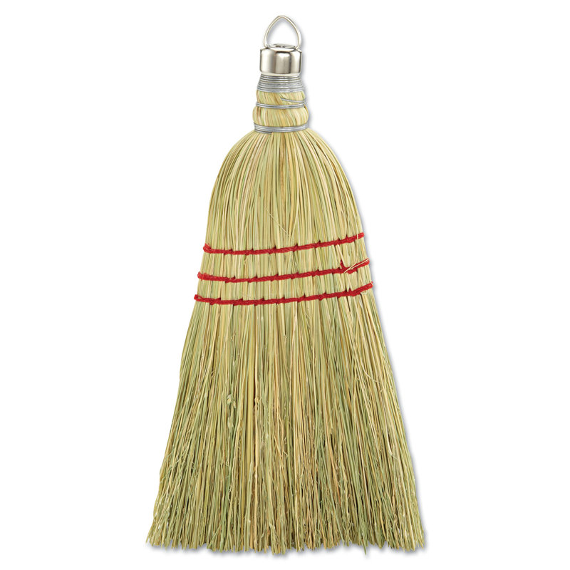 Unisan Whisk Household Broom & Reviews Wayfair